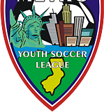 Metro Youth Soccer League